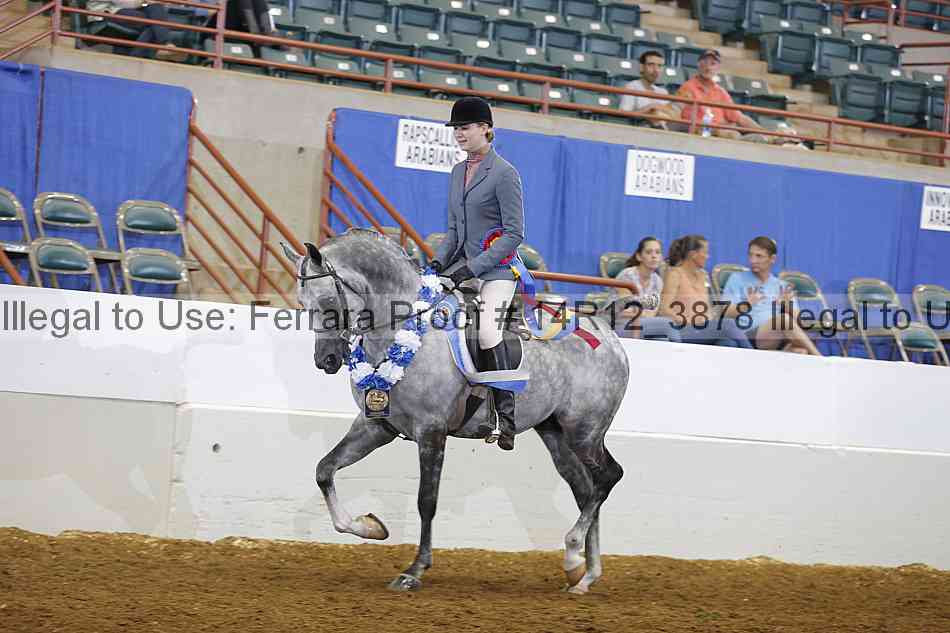 Proof Number 14r12_3878
