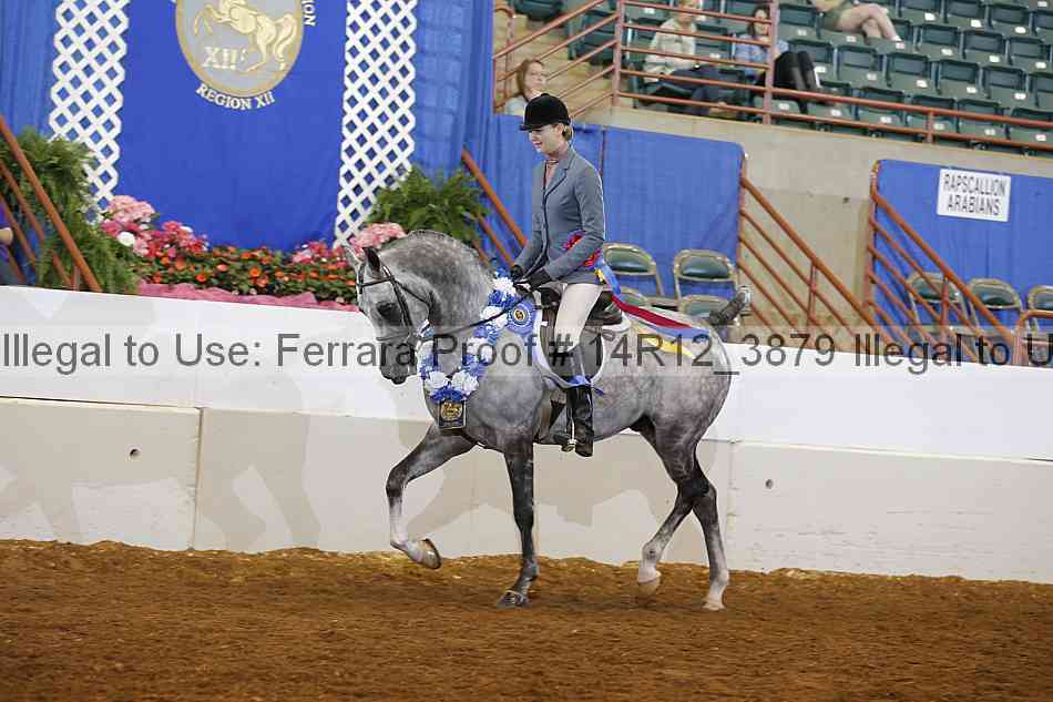 Proof Number 14r12_3879