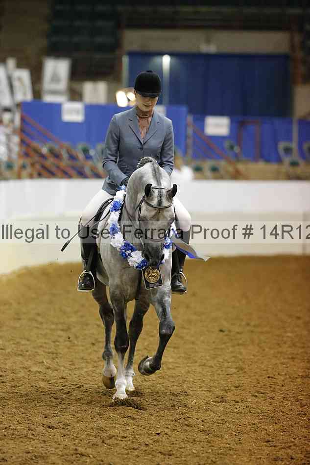 Proof Number 14r12_3883