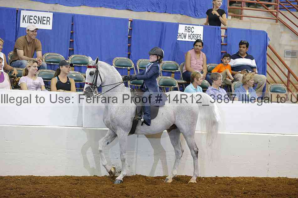 Proof Number 14r12_3887