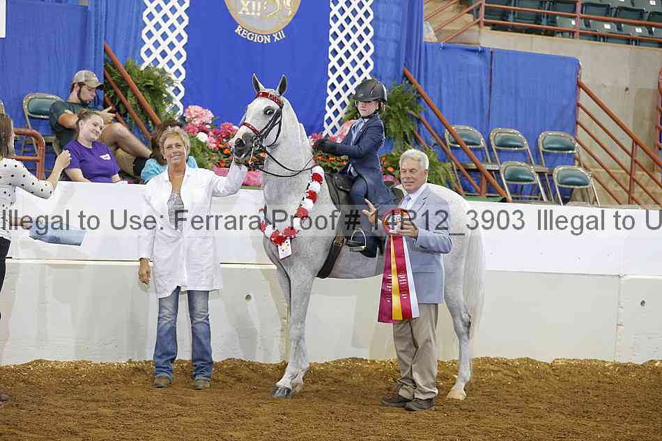 Proof Number 14r12_3903