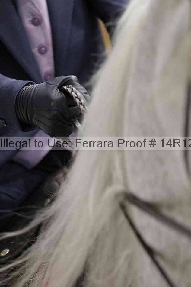 Proof Number 14r12_3905