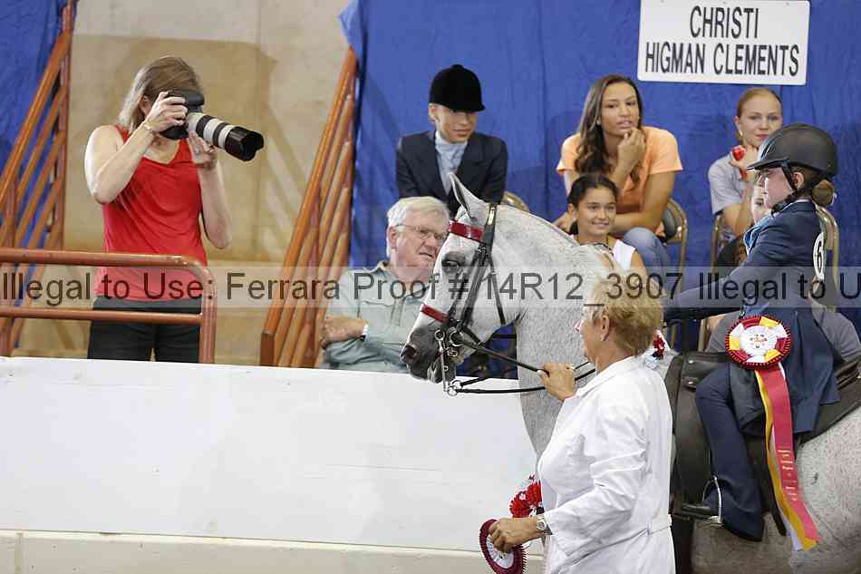 Proof Number 14r12_3907