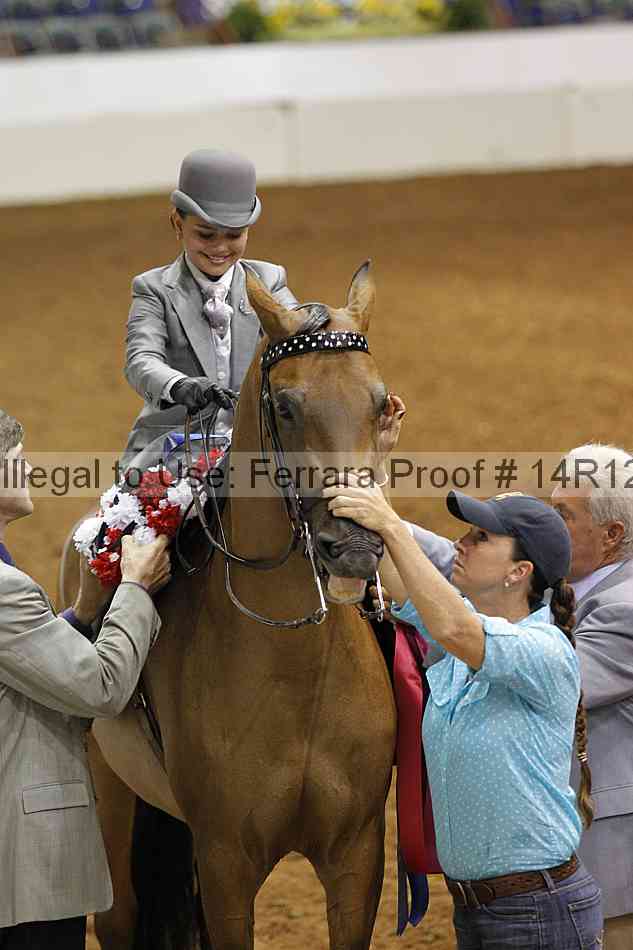 Proof Number 14r12_3909