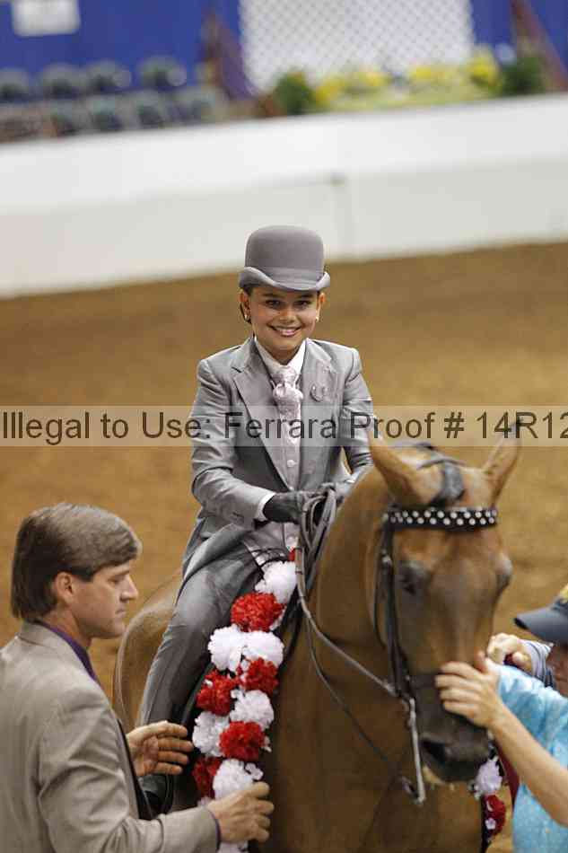 Proof Number 14r12_3911