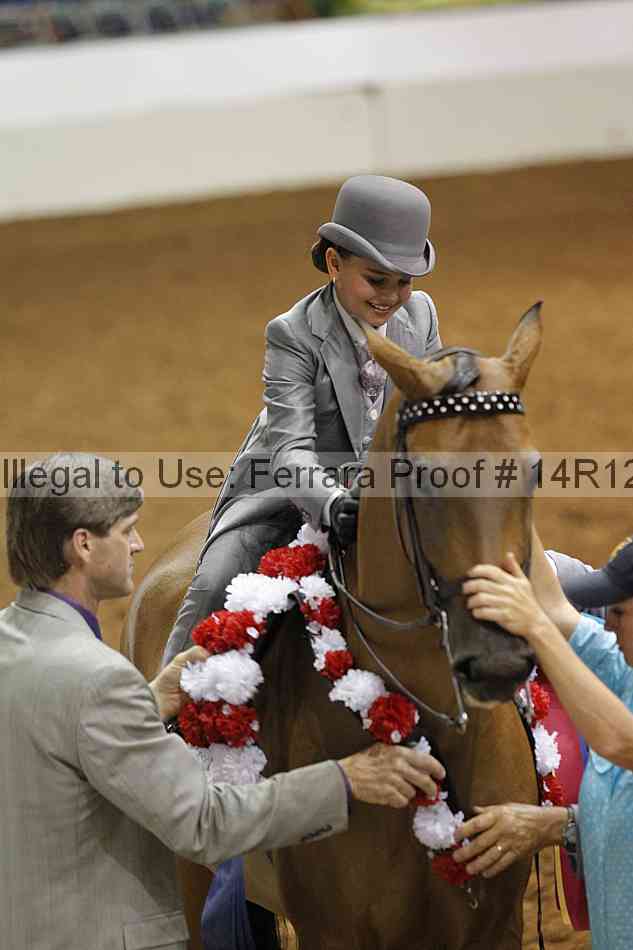 Proof Number 14r12_3912
