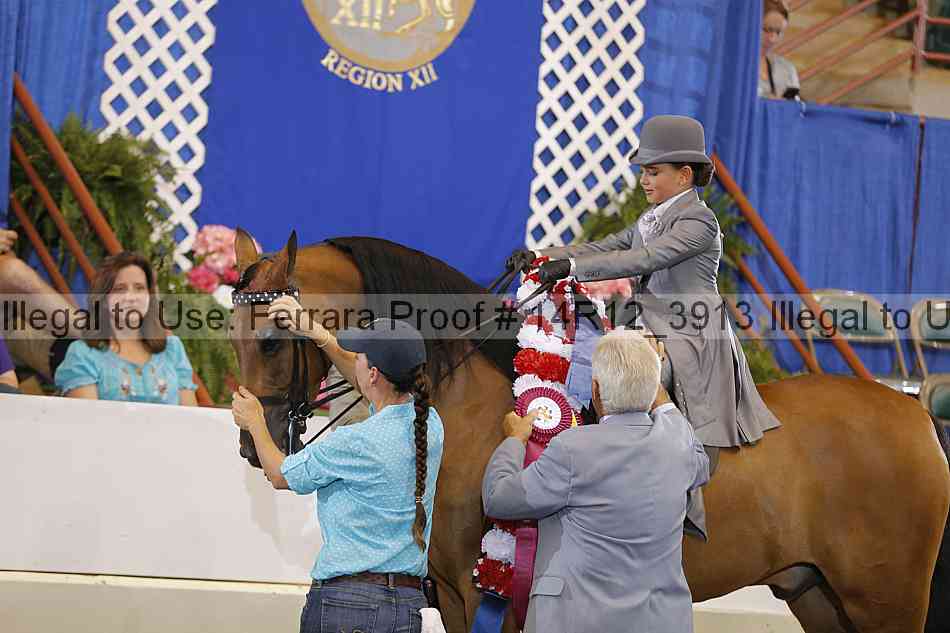 Proof Number 14r12_3913