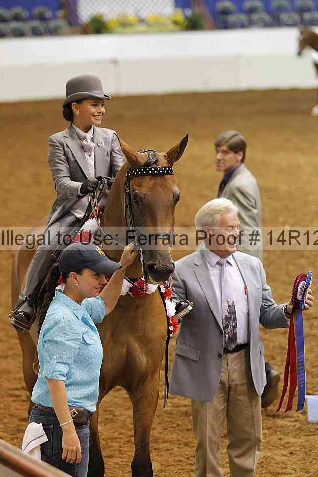 Proof Number 14r12_3914