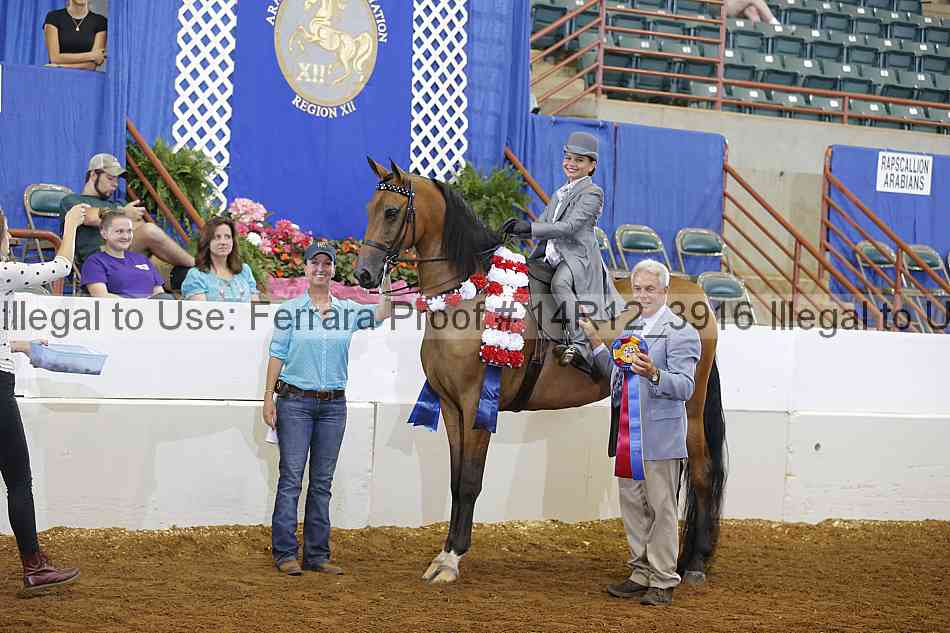 Proof Number 14r12_3916
