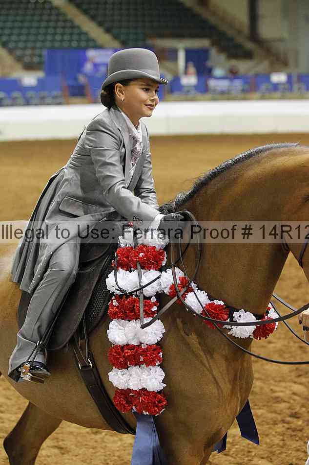 Proof Number 14r12_3918