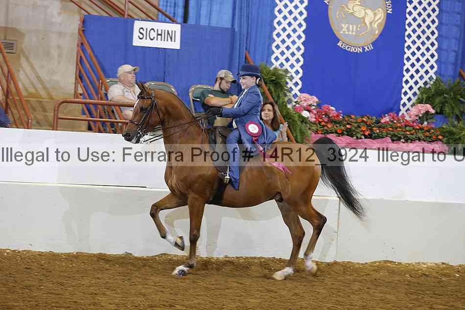 Proof Number 14r12_3924