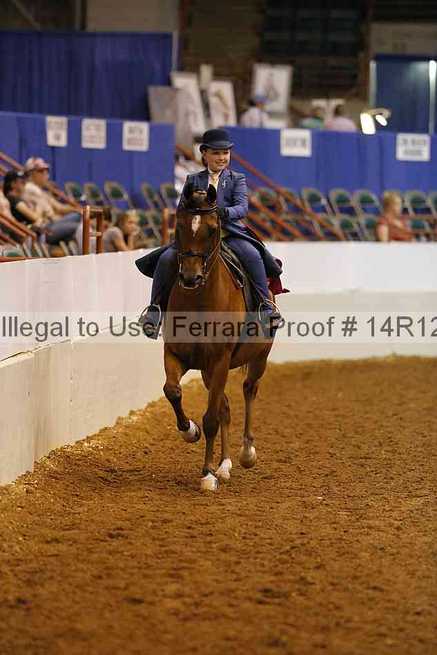 Proof Number 14r12_3925