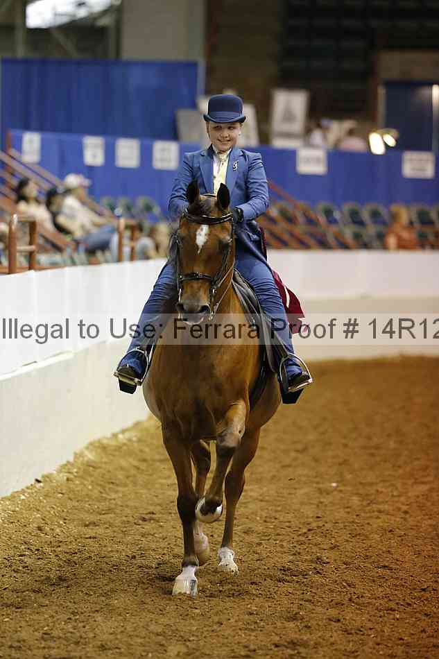 Proof Number 14r12_3926