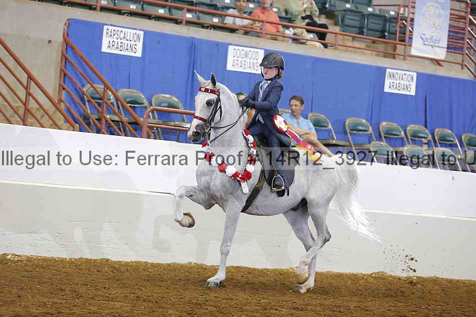 Proof Number 14r12_3927