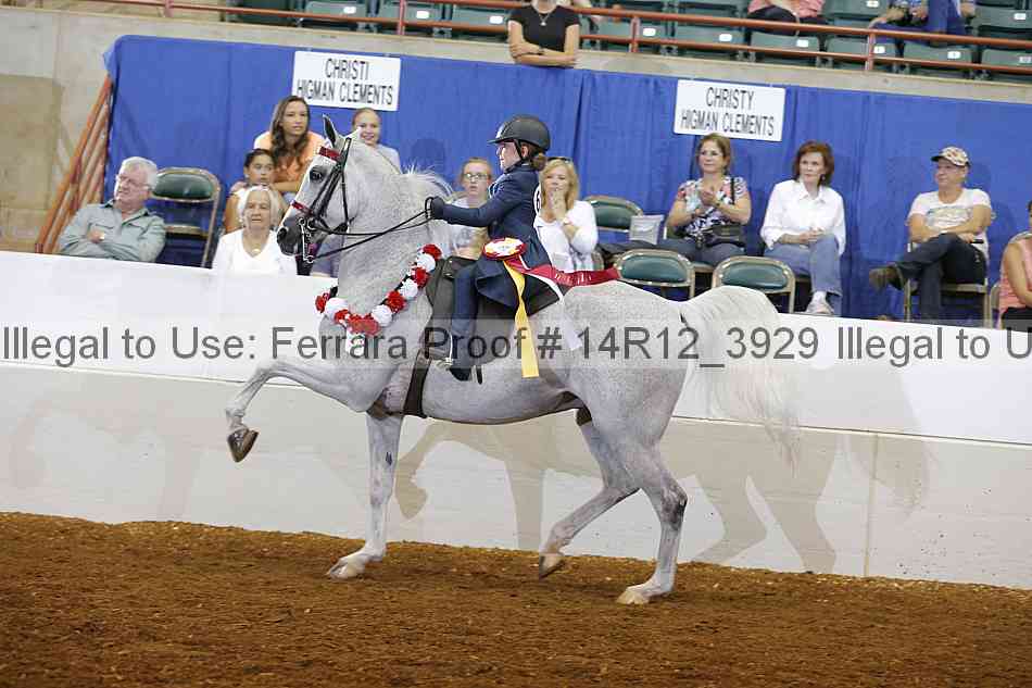 Proof Number 14r12_3929
