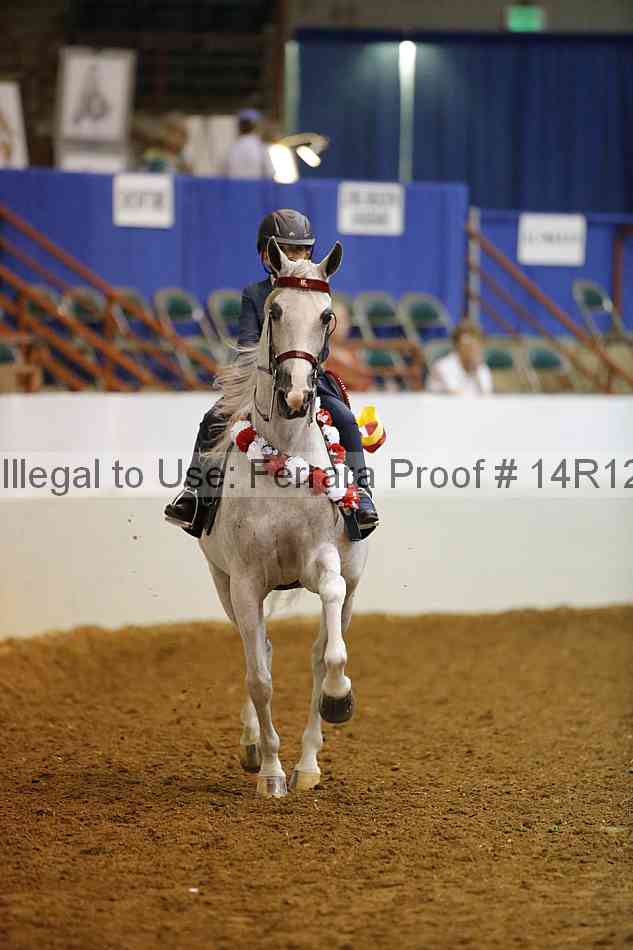 Proof Number 14r12_3930
