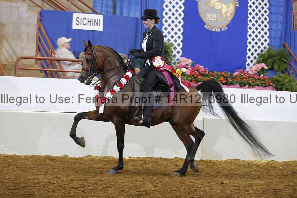 Proof Number 14r12_3980