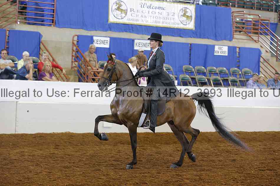 Proof Number 14r12_3993