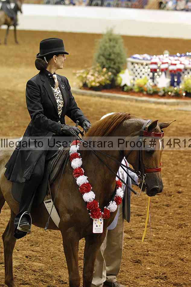Proof Number 14r12_4015