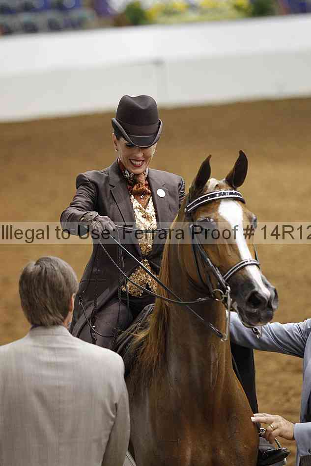 Proof Number 14r12_4019