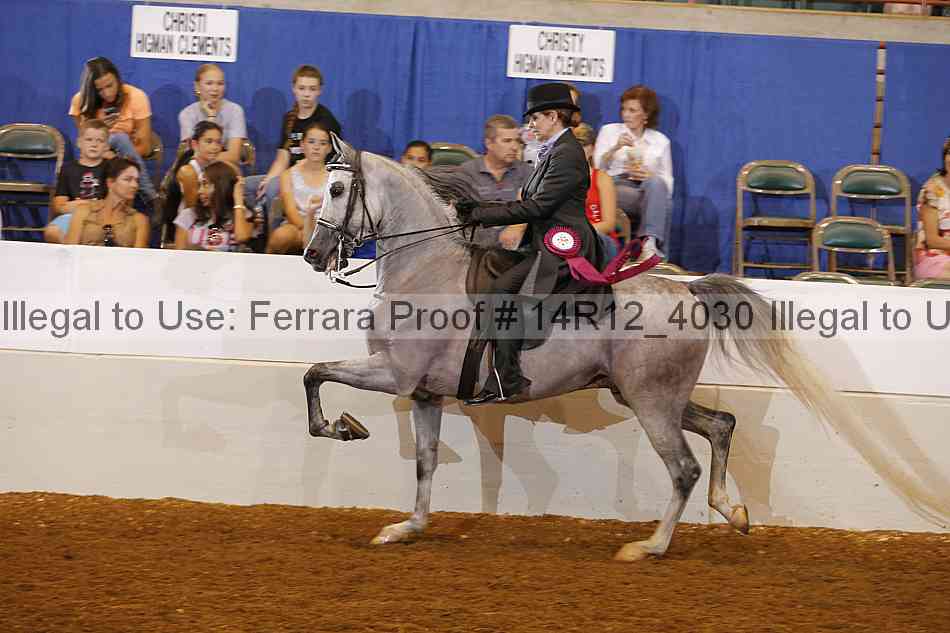 Proof Number 14r12_4030