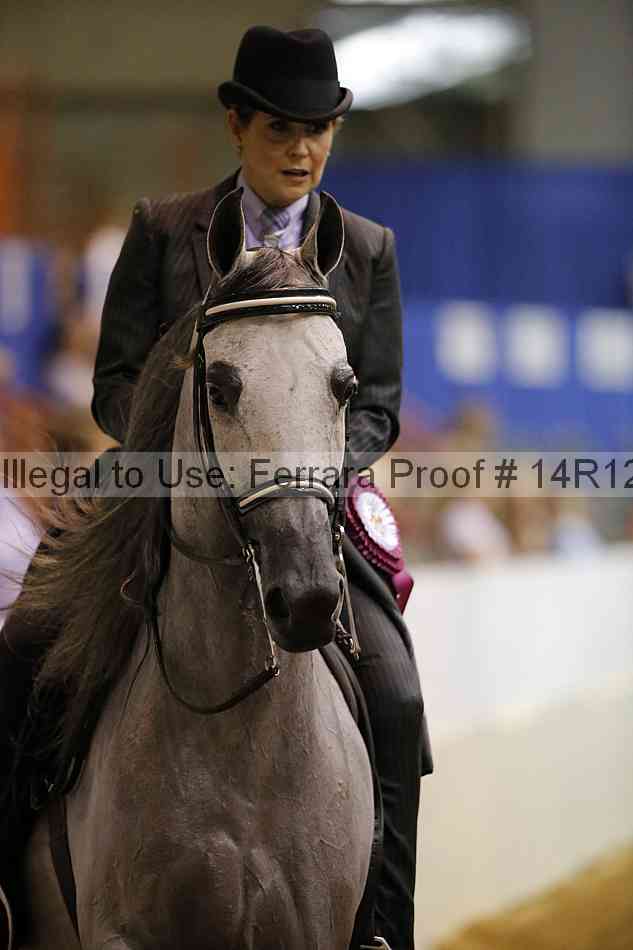 Proof Number 14r12_4034