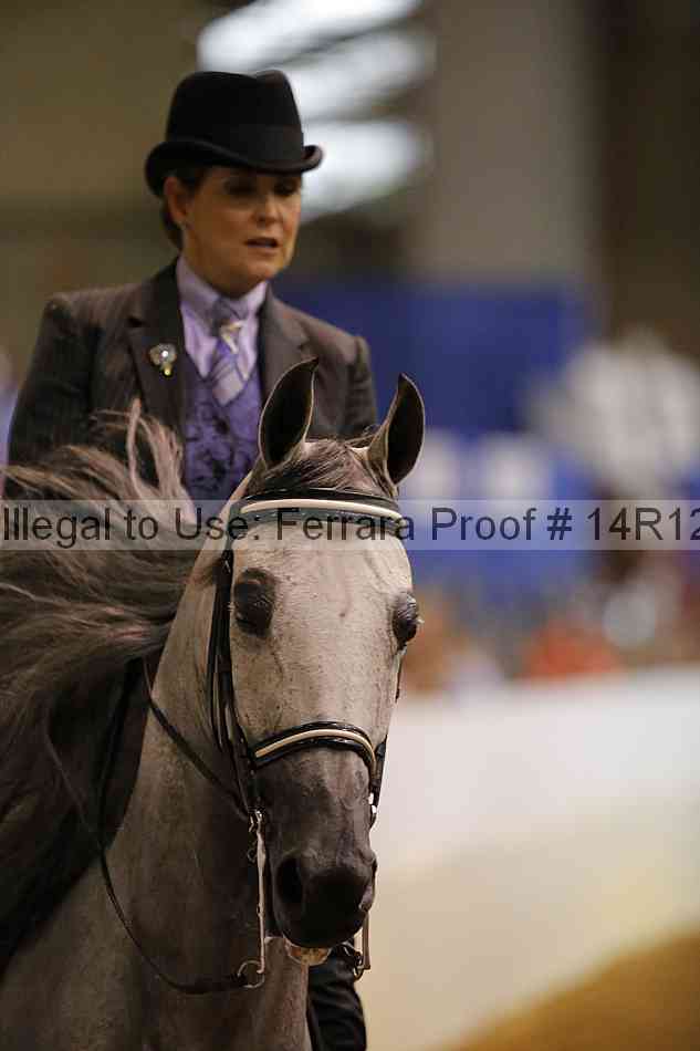 Proof Number 14r12_4035