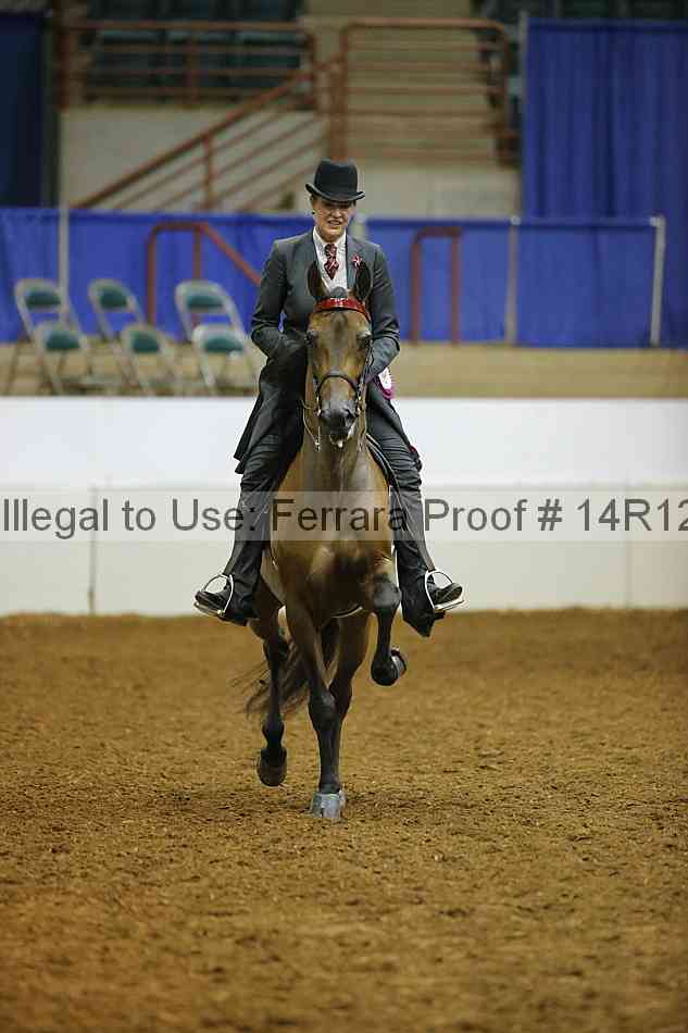 Proof Number 14r12_4040