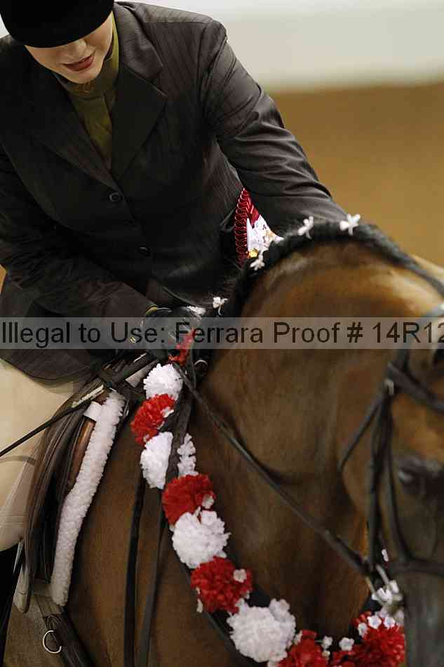 Proof Number 14r12_4081