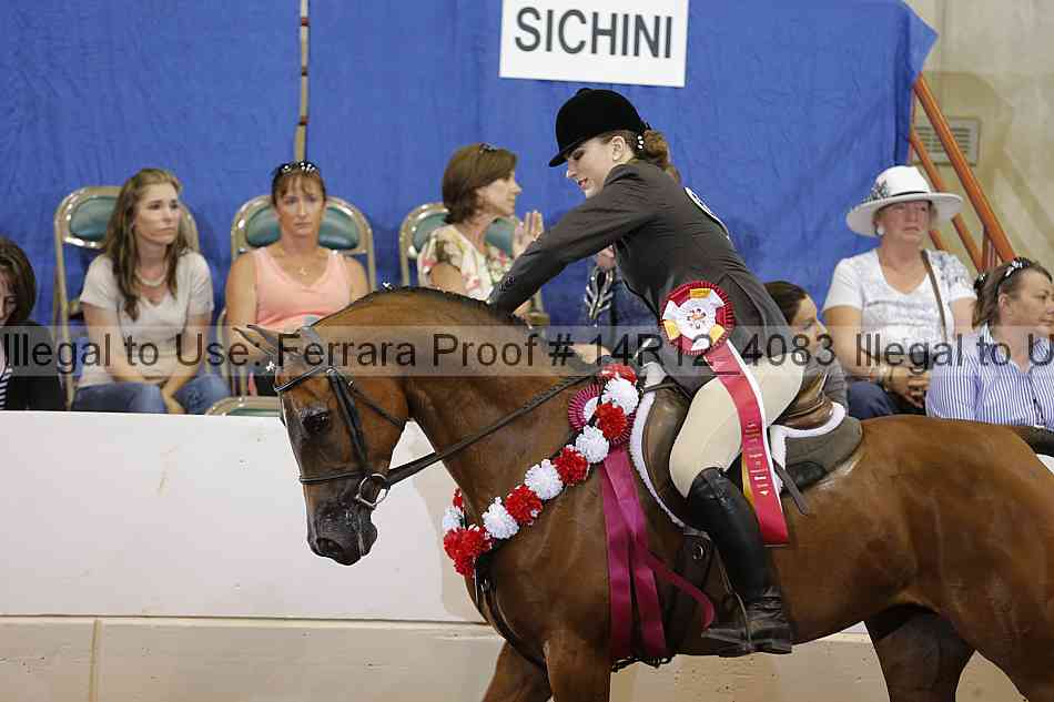 Proof Number 14r12_4083