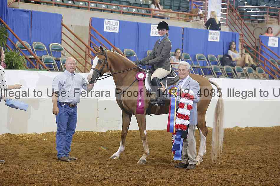 Proof Number 14r12_4085