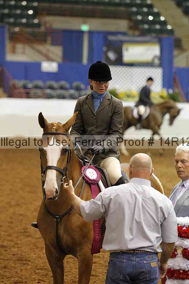 Proof Number 14r12_4087