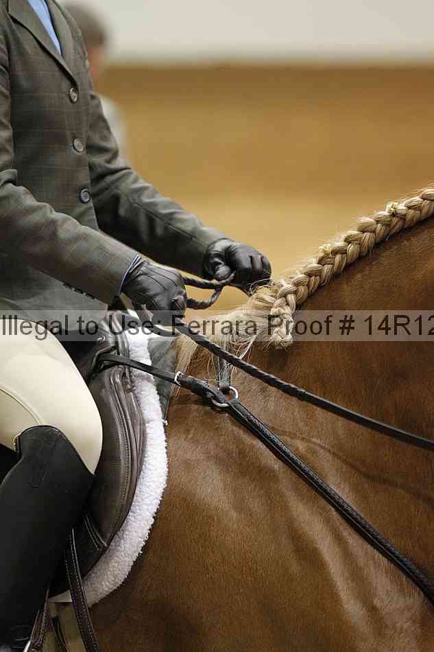 Proof Number 14r12_4089