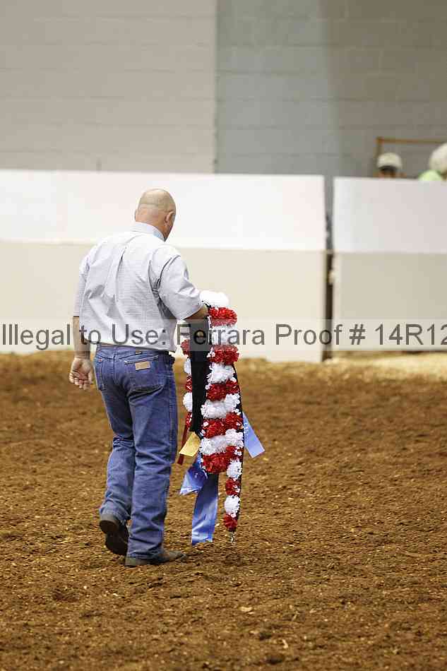 Proof Number 14r12_4090