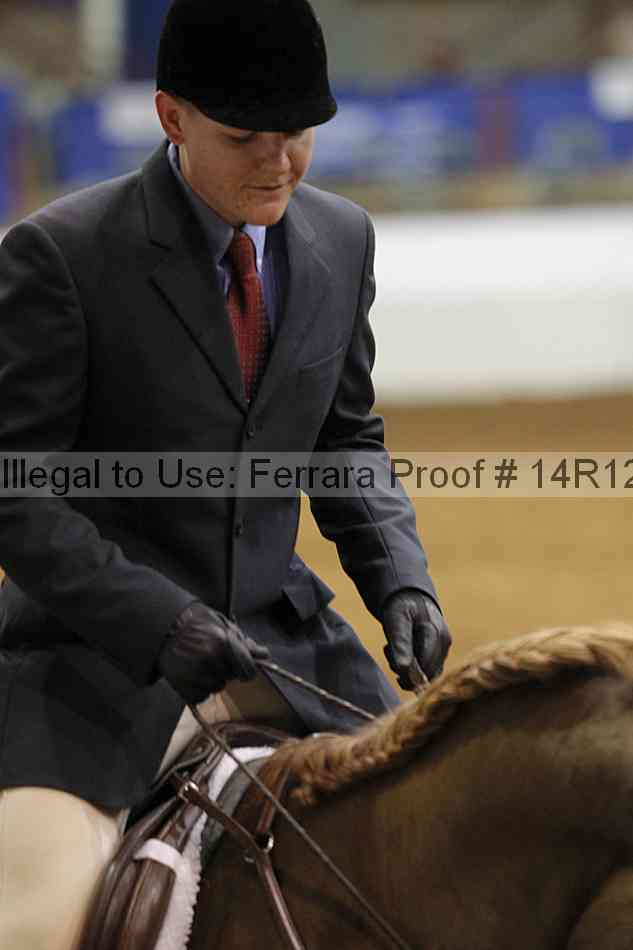 Proof Number 14r12_4091