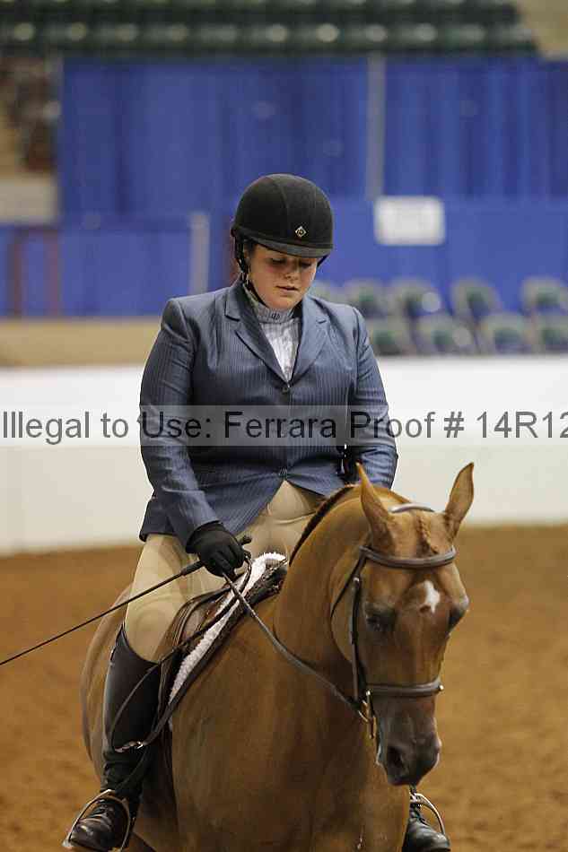 Proof Number 14r12_4094