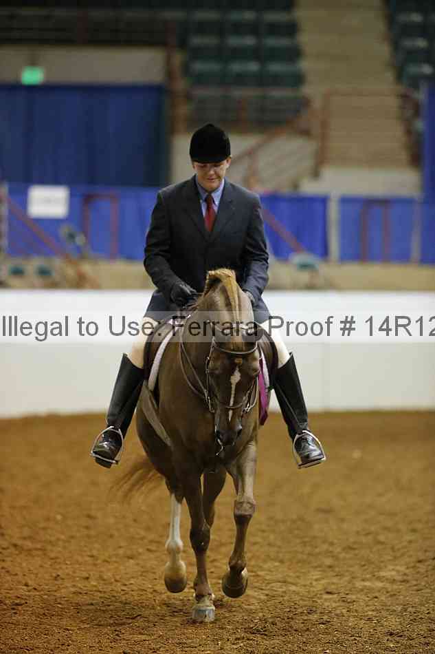 Proof Number 14r12_4096