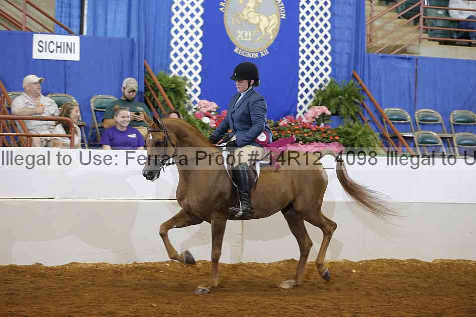 Proof Number 14r12_4098