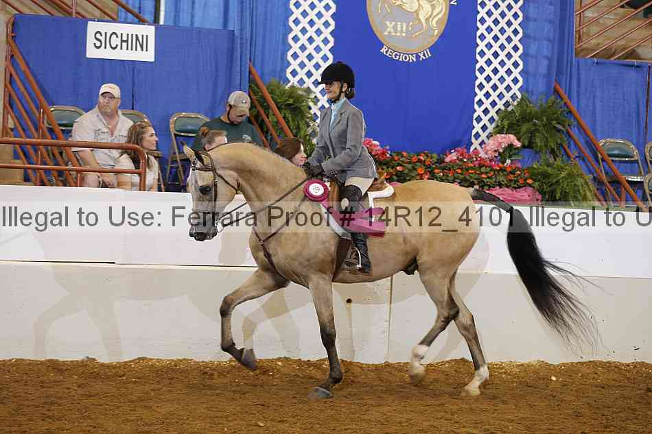Proof Number 14r12_4101