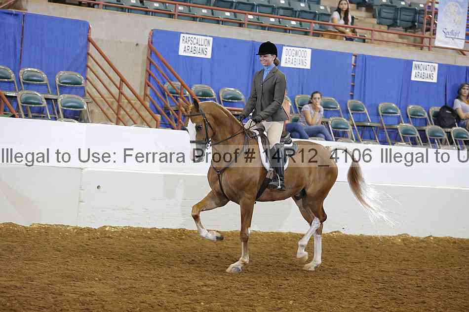 Proof Number 14r12_4106