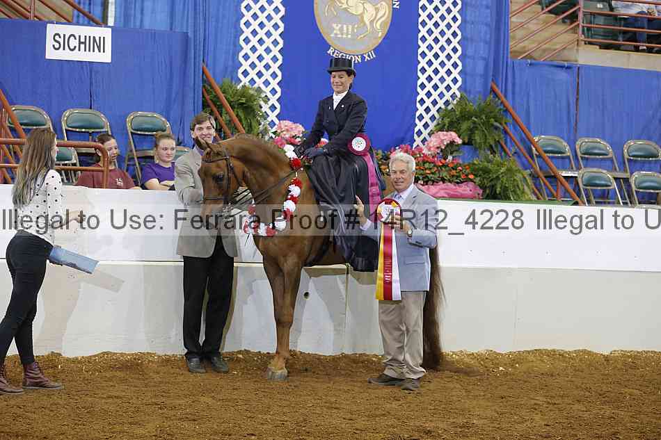 Proof Number 14r12_4228