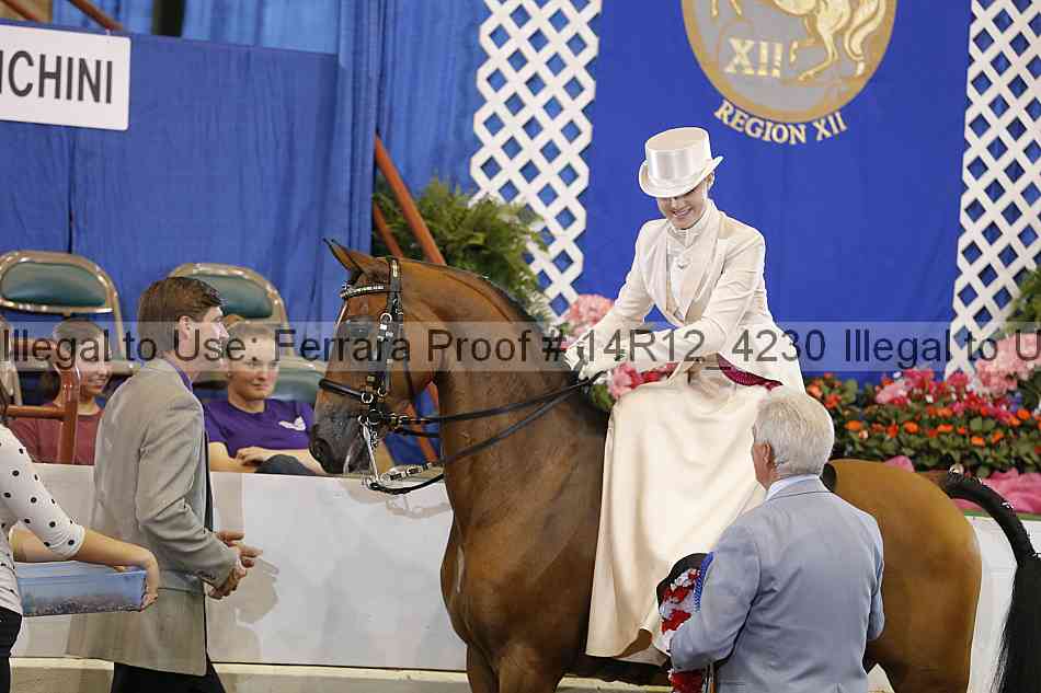 Proof Number 14r12_4230