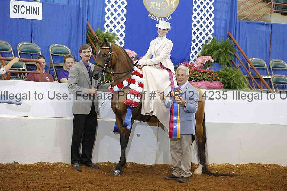 Proof Number 14r12_4235