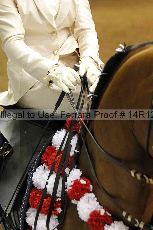 Proof Number 14r12_4236