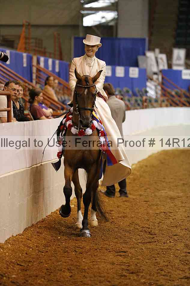 Proof Number 14r12_4238