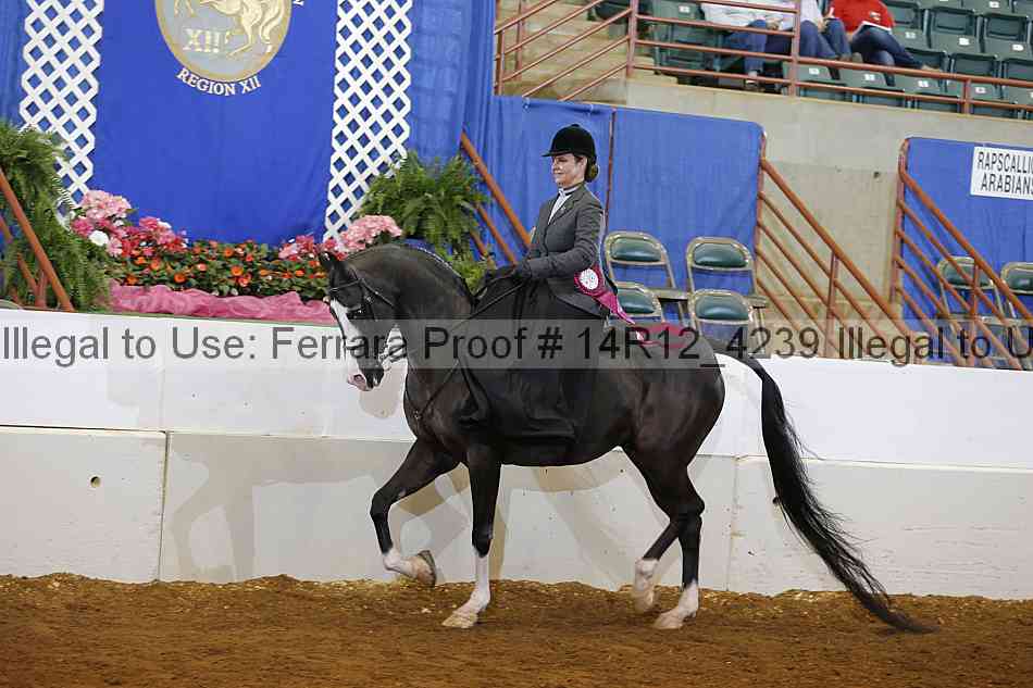 Proof Number 14r12_4239