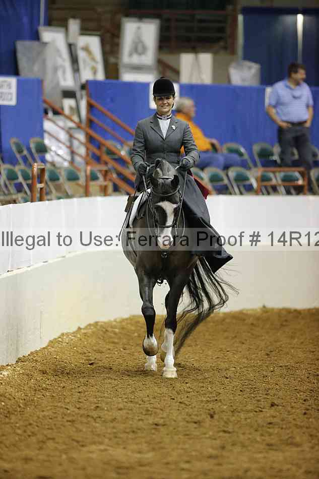 Proof Number 14r12_4241