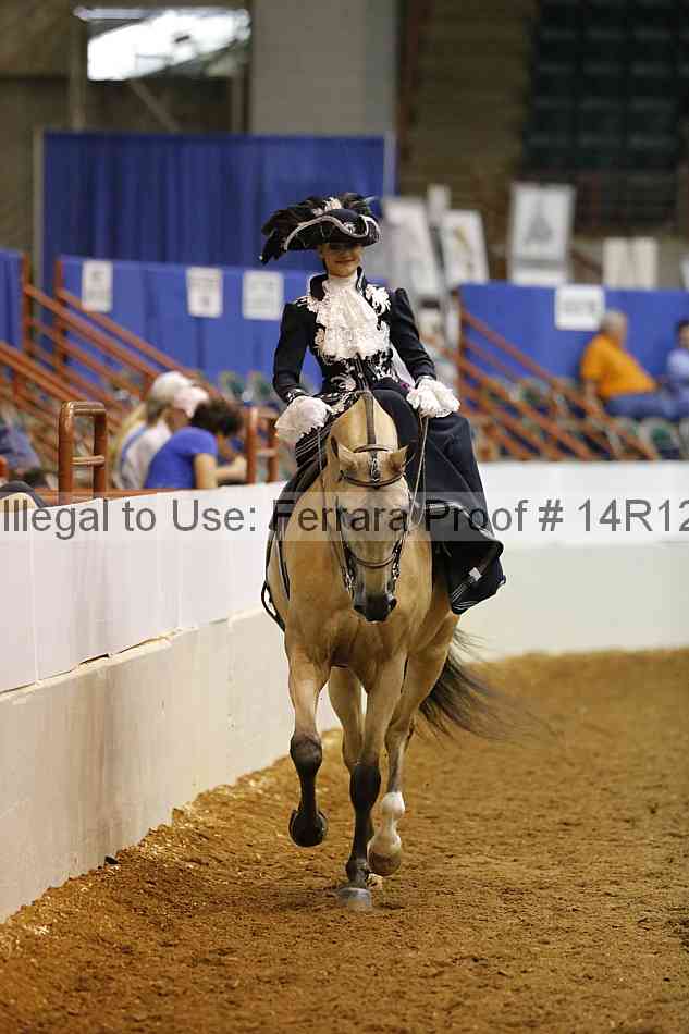 Proof Number 14r12_4246