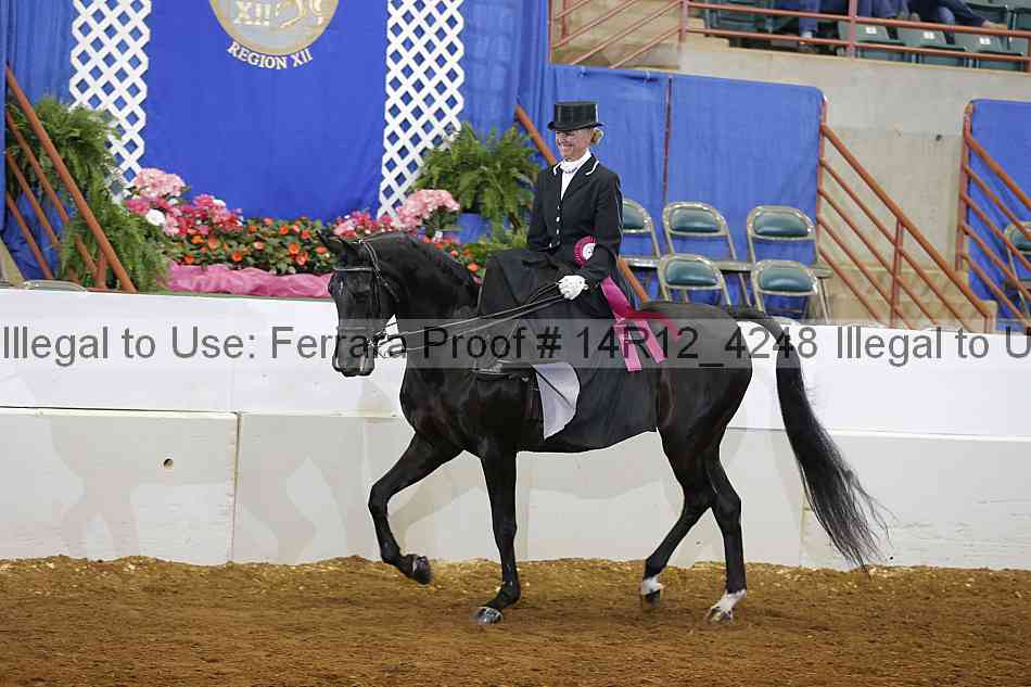 Proof Number 14r12_4248