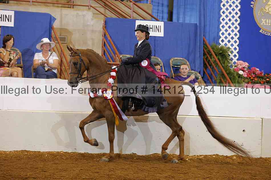 Proof Number 14r12_4254